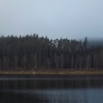 Nur der Wald spiegelt sich nicht mehr