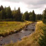 Wechselnde Lichtverhältnisse, weil doch ab und zu die Sonne herauskam