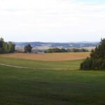 Endlich aus dem Wald