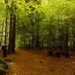 Gipfelkreuz mit Bankerl und ganz rechts dem Pfad zum höchsten Punkt