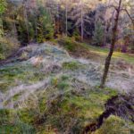 Nicht ganz legale Abkürzung