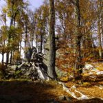 Ankunft am Hirschenstein