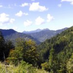Im Hintergrund taucht der Kamm vom Herzogstand hinüber zum Hirschberg auf