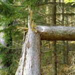 Wie? Der Weg geht in die Luft weiter?