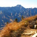 Daumen hinter Gras Daumen hinter Gras