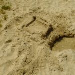 Castle made of sand (frei nach Jimi Hendrix)