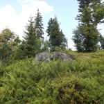 V-Ausschnitt V-Ausschnitt