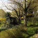 Verwunschenes Gartenschlössli