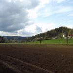 Durchblick zum Lanzenberg