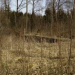 Diese Rampe dürfte militärischen Ursprung haben