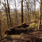 Freigelegte Reste der Burgmauer