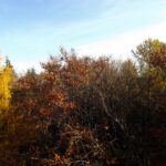 Perfekte Aussicht vom Vierlingsturm