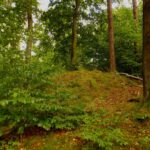 Nördlicher Vorgipfel mit genauso viel Aussicht