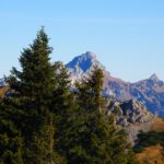 Rohnenspitze hinter Fichten Rohnenspitze hinter Fichten