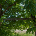 Was da wohl mal dranhing?