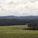 Blaubergkamm Blaubergkamm