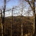 Die Aussicht ist nicht nur Richtung Kühberg leicht eingeschränkt