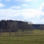 Gleich wieder in der Freiheitszone