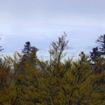 Aussicht nach Süden Aussicht nach Süden