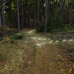 Nein, das sind keine Schneereste