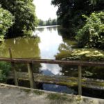 Irgendwoher muss ja der Ortsname Pila (Säge) kommen