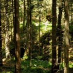 Brücke über den Rossbach