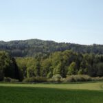 Über diesen Kamm sind wir vor zwei Wochen gegangen