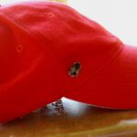 Hummelchen auf Annas Käppi Hummelchen auf Annas Käppi