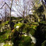 Der unwegsame Gipfel des Weingartnerfelsen Der unwegsame Gipfel des Weingartnerfelsen