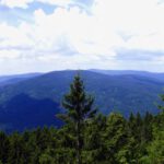 Vogelsang, ein weiteres Projekt mit Ausgangspunkt Gotteszell