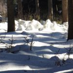 Das Dorf der Schnee-Elfen