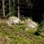 Kavallerie von links