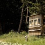 Die Bienen sind los! Die Bienen sind los!