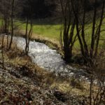 Sonnenreflexion in der Ascha