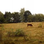 Vom Wetter unbeeindruckt