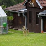 Paní Mocková Paní Mocková