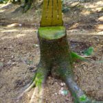 Single-Rastplatz Single-Rastplatz