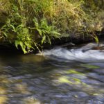 Ministrudel Ministrudel