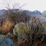 Handeinsatz überflüssig