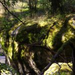 Dieser Felsblock heißt treffenderweise Amboss Dieser Felsblock heißt treffenderweise Amboss