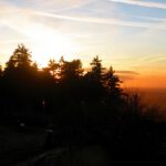 Ein würdiges Finalfoto