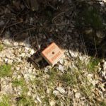 Grenzpunkt zwischen wem oder was?