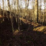 Graben- und Wallreste auf der Nordseite