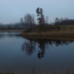 Wahnsinn, dass dieses Foto geklappt hat