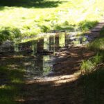 Romantisch gelegene Pfütze