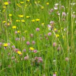 Farb(mindestens)vierfalt