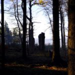 Ebenfalls abgebrochen Ebenfalls abgebrochen