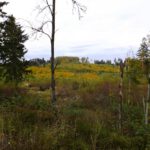 Überblick zum Schwarzbeerberg