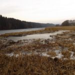 Schilfeingang zum Blaibacher See