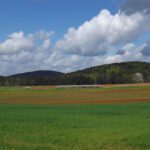 Haberberg und Adamsberg